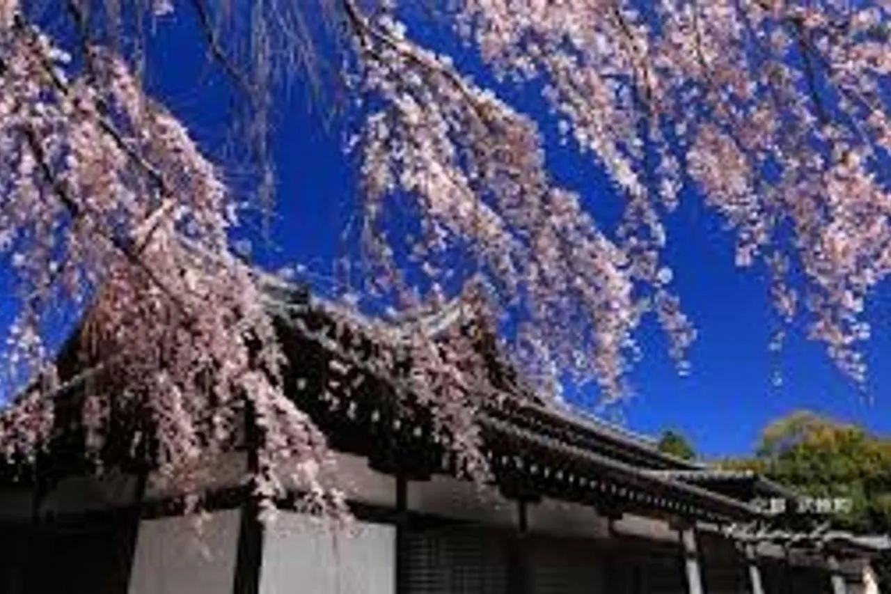 Close To Golden Temple -Kinkakuji- Kjóto 0*,  Japonsko