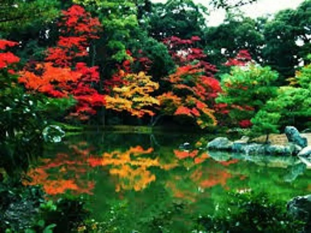 Close To Golden Temple -Kinkakuji- Kjóto