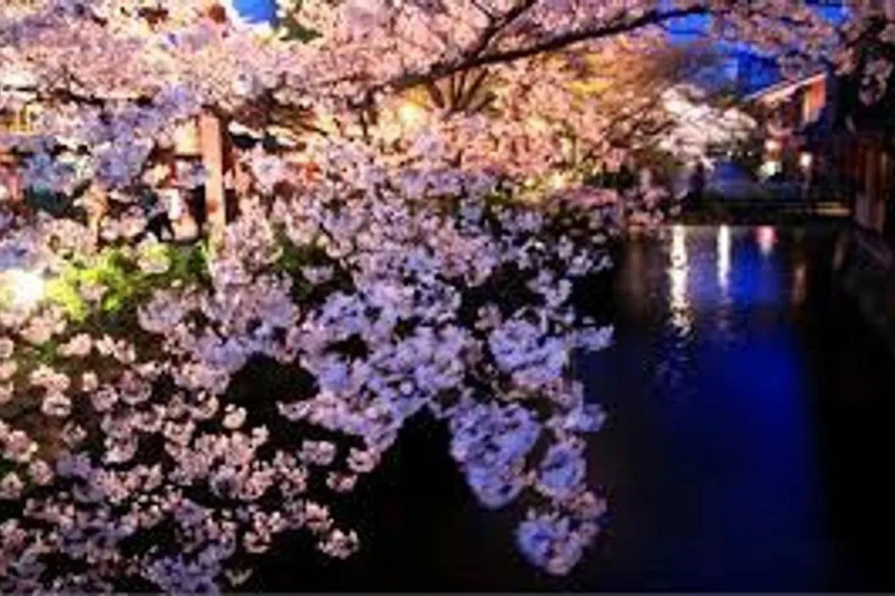Close To Golden Temple -Kinkakuji- Kjóto 0*,